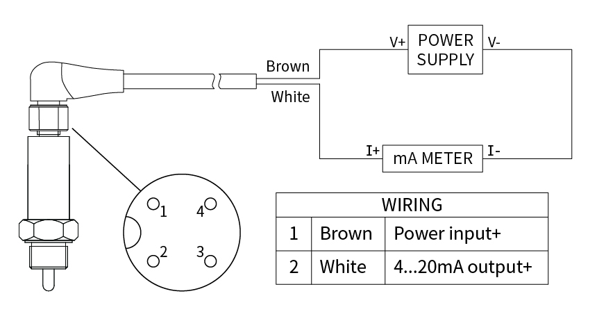 temperature-sensor-rtd-pt100-4-20mA-wiring-diagram
